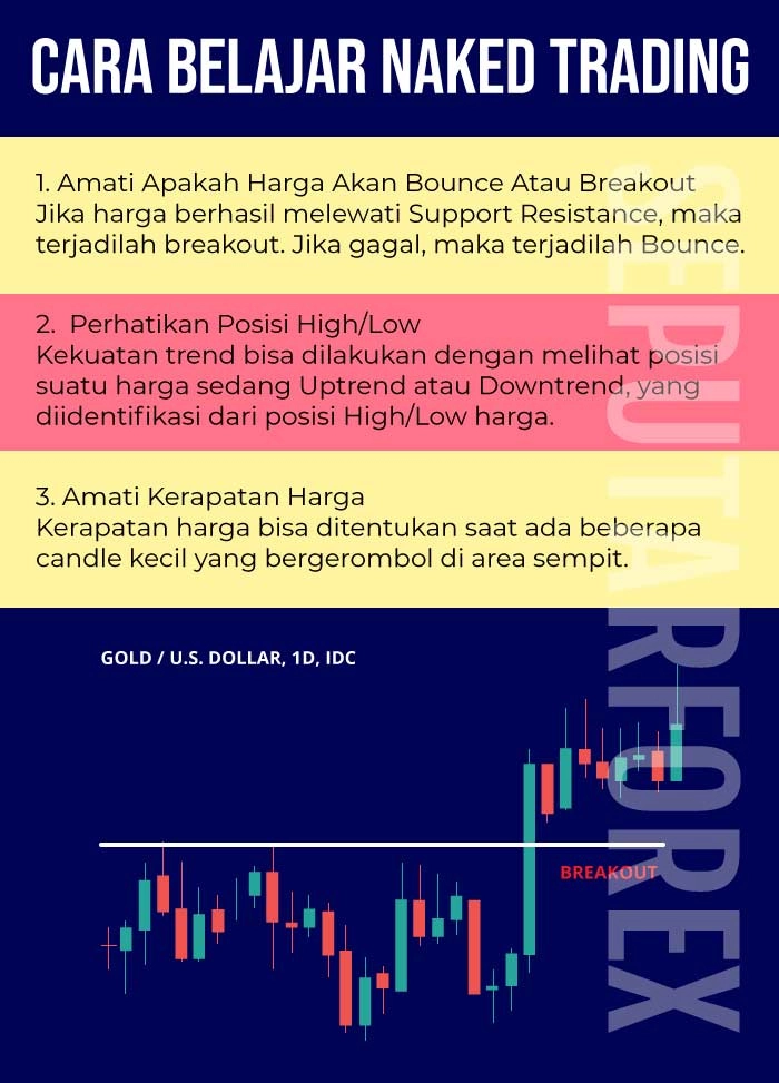 Infografi Cara Belajar Naked Trading