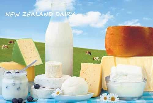 new_zealand_dairy