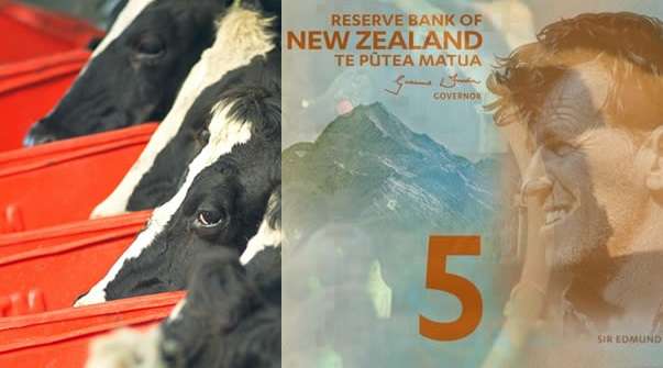 Hubungan Dolar New Zealand Dengan Harga Susu
