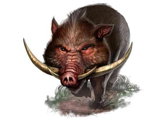 level trader forex wild boar