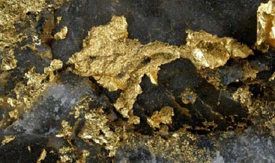 Spesimen dari Tambang Emas di Ontario, Kanada