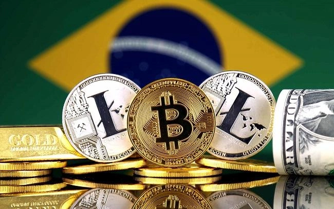 Transaksi Kripto Di Brazil