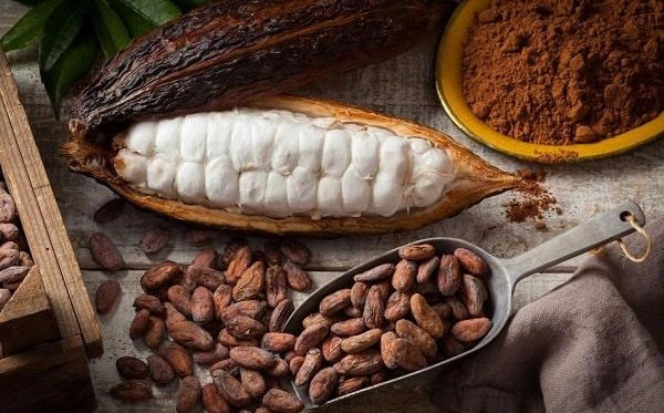 10 Negara Penghasil Kakao