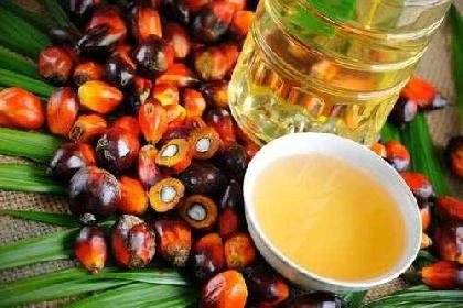 Trading Crude Palm Oil (CPO)