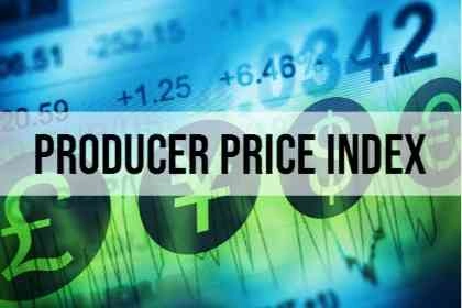Indikator Fundamental Producer Price Index