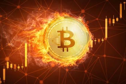 Cara Memilih Penyedia Sinyal Trading Bitcoin